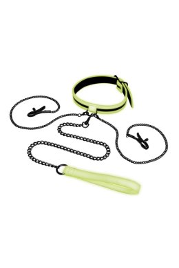 WHIPSMART GLOW IN THE DARK COLLAR WITH NIPPLE CLIPS AND LEASH