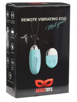 Remote Vibrating Egg Mint Green