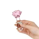 Pillow Talk - Rosy Luxurious Glass Anal Plug with Bonus Bullet